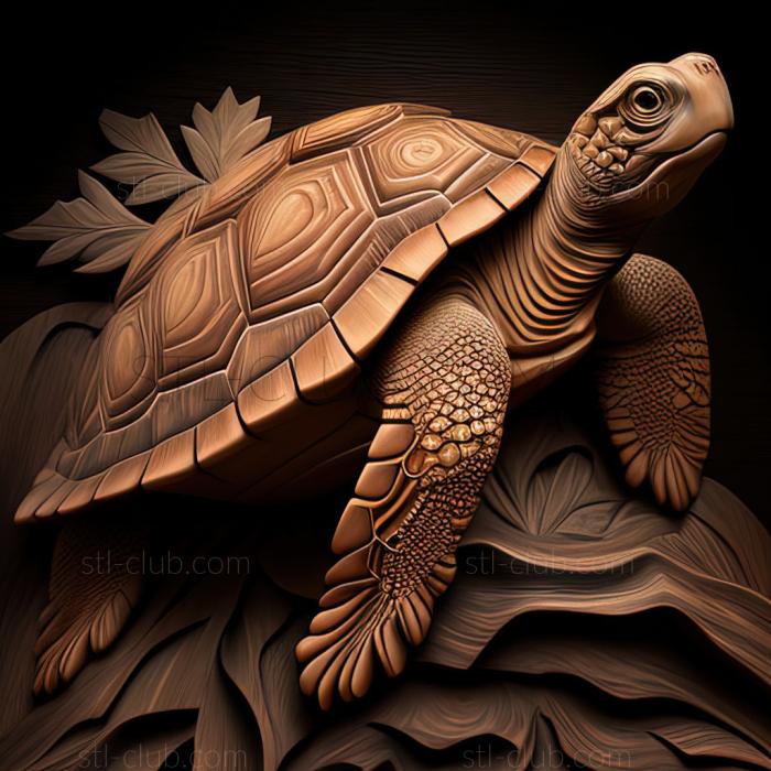 st Advaita turtle famous animal